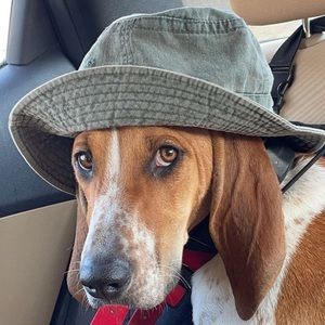 Meet your Posher, Alexis